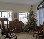 Carolyn displays her biggest Christmas tree in the sun room.