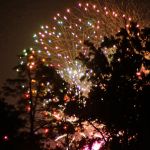 City of Hamilton 4th of July fireworks as seen through the trees of Highland Park. (Photo by Dave Duricy)